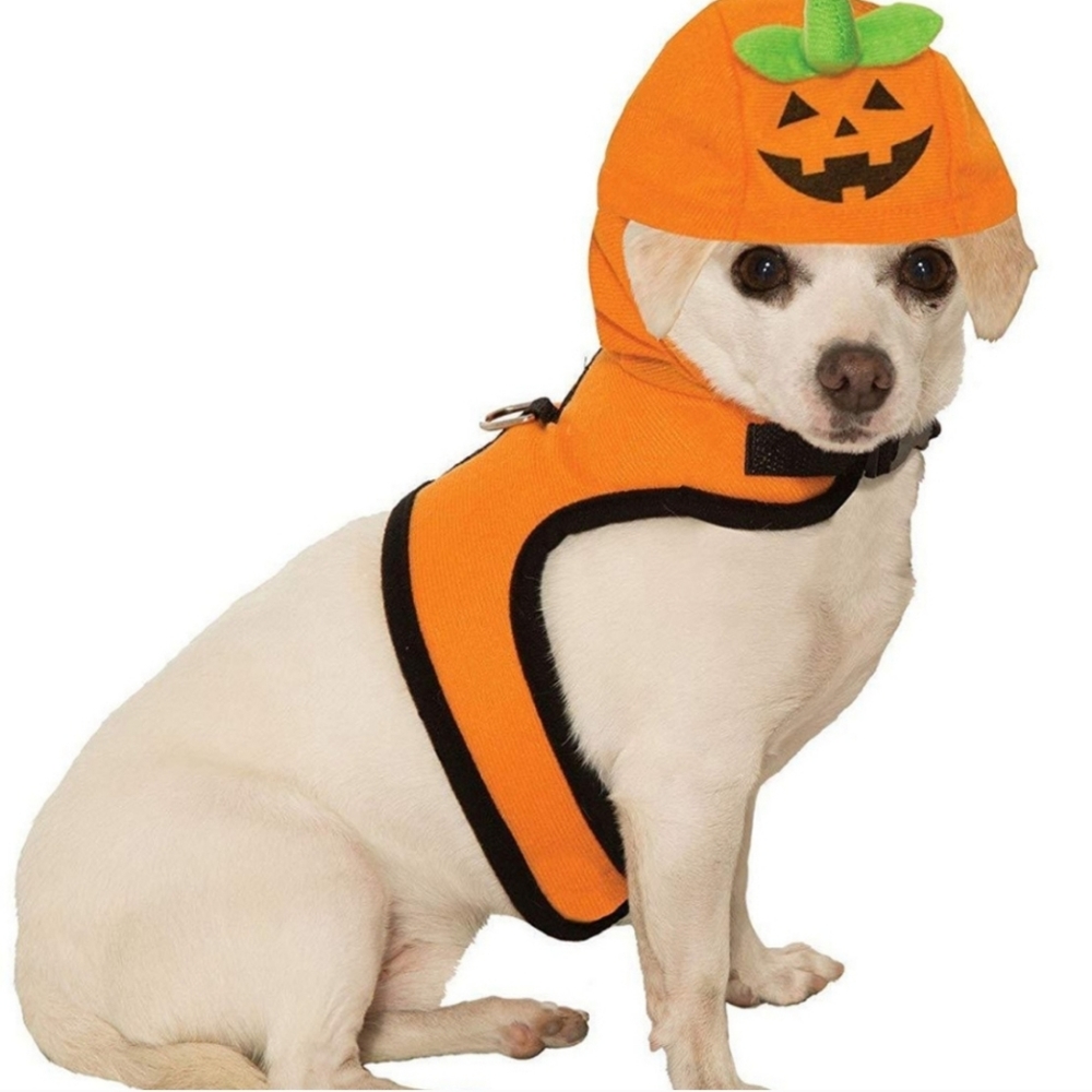 Halloween Pet Costume Small Cat, Dog